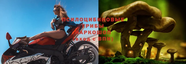 ПСИЛОЦИБИНОВЫЕ ГРИБЫ Богородицк