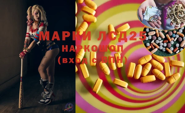 бошки Бронницы