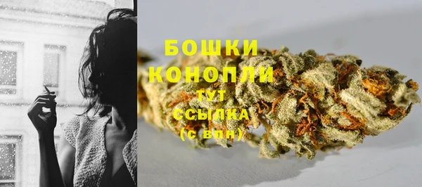 ПСИЛОЦИБИНОВЫЕ ГРИБЫ Богородицк