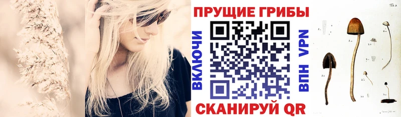 Галлюциногенные грибы Psilocybe  продажа наркотиков  Верещагино 